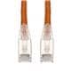 Amphenol ProLabs C-10FCAT6S-OE