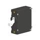 Carling Technologies AA1-B0-24-625-1B1-C