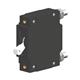 Carling Technologies CA1-B0-24-425-311-D
