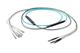 Pasternack PE3FCA296-30M