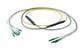 Pasternack PE3FCA312-25M