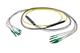 Pasternack PE3FCA384-5M