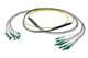 Pasternack PE3FCA452-15M