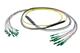 Pasternack PE3FCA452-5M
