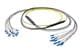 Pasternack PE3FCA453-15M