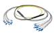 Pasternack PE3FCA455-5M