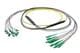 Pasternack PE3FCA460-25M