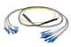 Pasternack PE3FCA465-25M