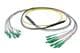 Pasternack PE3FCA466-15M
