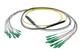 Pasternack PE3FCA466-5M