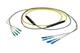 Pasternack PE3FCA545-10M