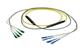Pasternack PE3FCA551-10M