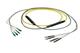 Pasternack PE3FCA560-10M