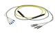 Pasternack PE3FCA561-10M
