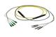 Pasternack PE3FCA566-10M