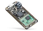 Adafruit Feather 32u4 RFM95 LoRa Radio
