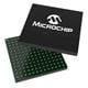 Microchip Technology PIC32MZ2064DAS169-I/6J
