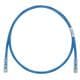 Panduit UTPSP5MBUY