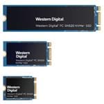SanDisk SDAPNUW-256G Enlarged Image