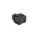 Schurter 6182.0031