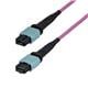 StarTech OM4MTP12BOFNP10M