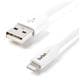 StarTech USBLT2MW